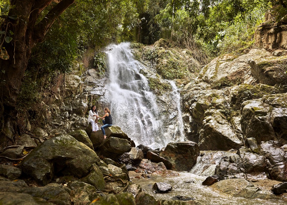 Procolombia varias image